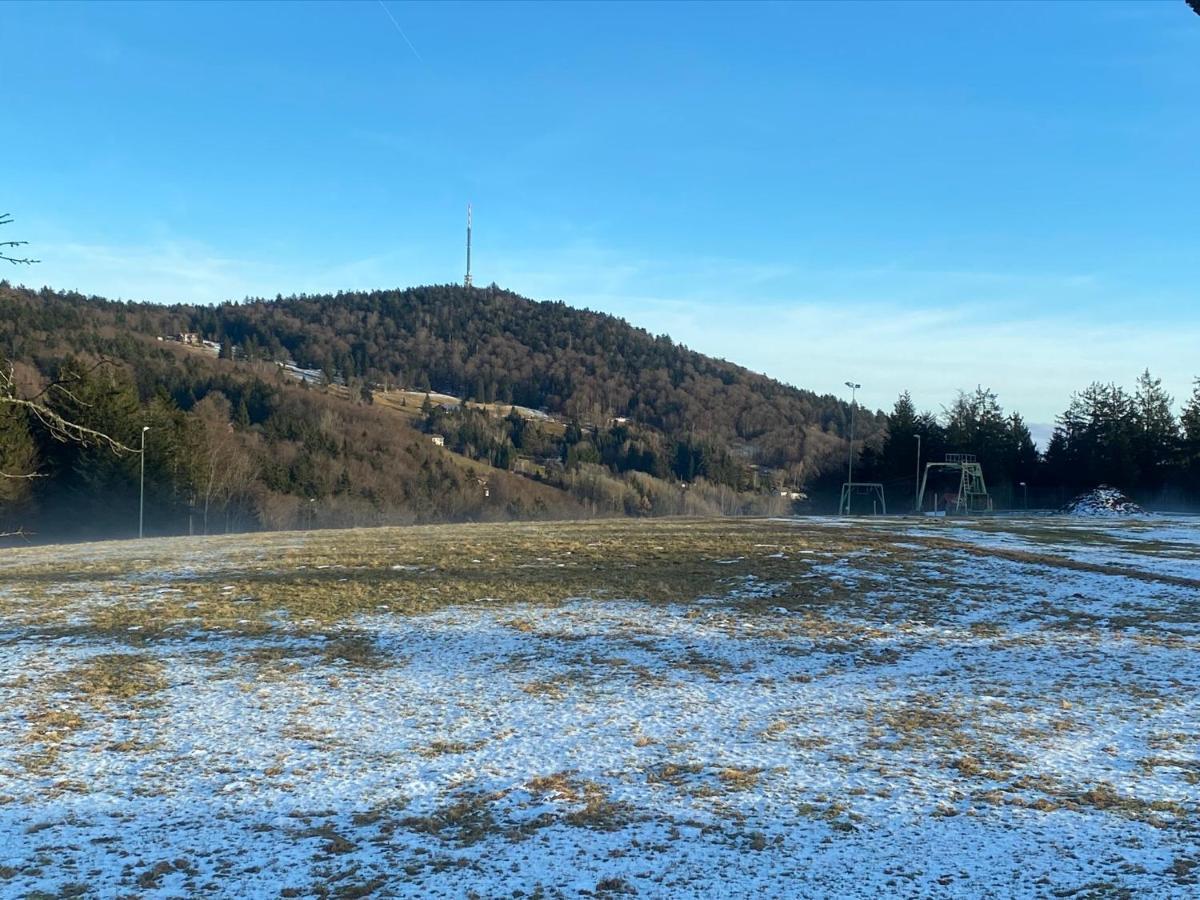 Mitten Im Bayerischen Wald-95M² Wohnung + *Netflix* Direkt Am Skilift! Schöfweg Εξωτερικό φωτογραφία