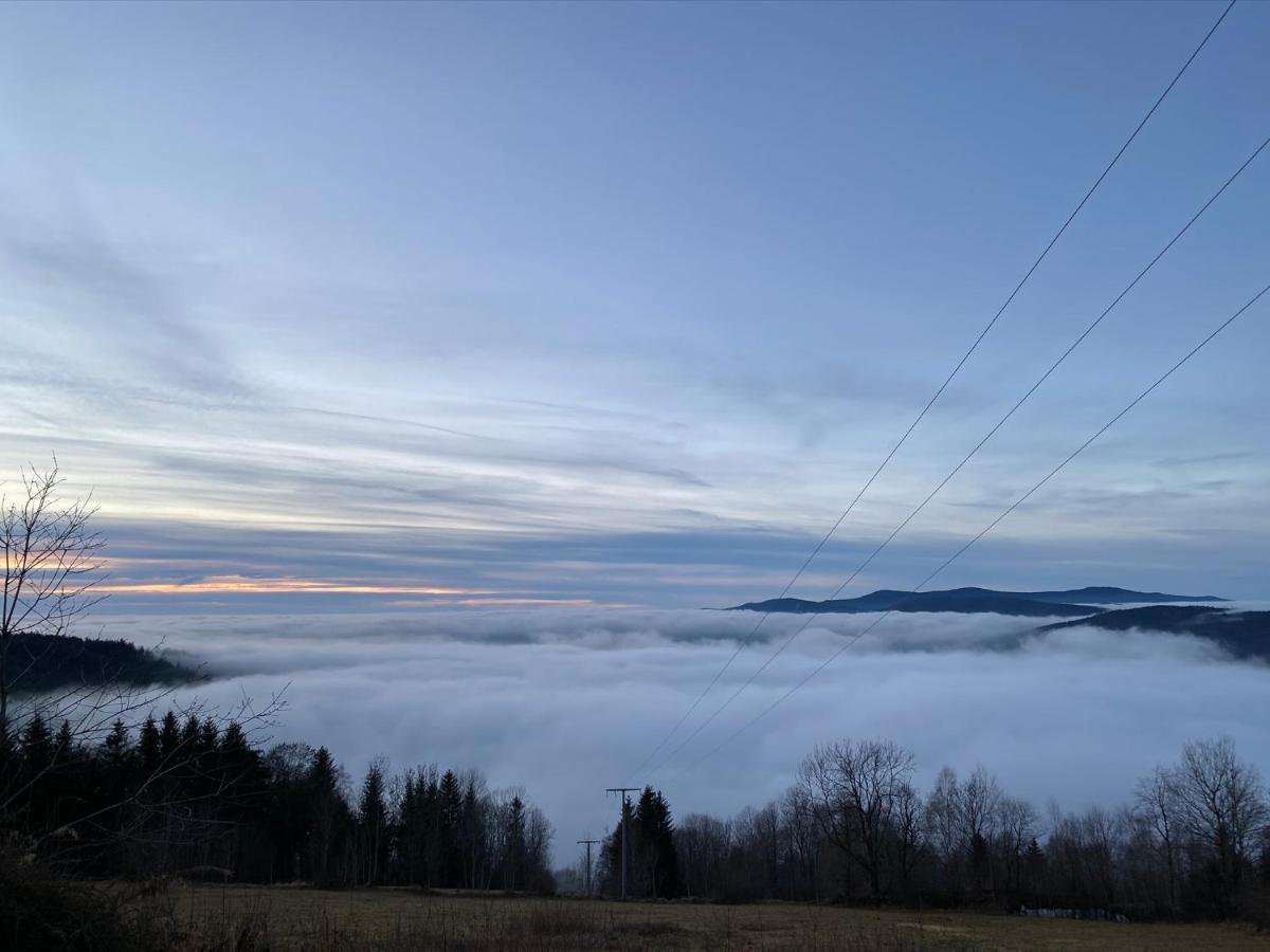 Mitten Im Bayerischen Wald-95M² Wohnung + *Netflix* Direkt Am Skilift! Schöfweg Εξωτερικό φωτογραφία
