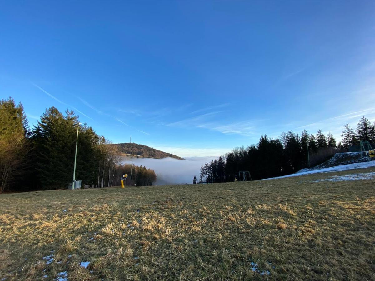 Mitten Im Bayerischen Wald-95M² Wohnung + *Netflix* Direkt Am Skilift! Schöfweg Εξωτερικό φωτογραφία