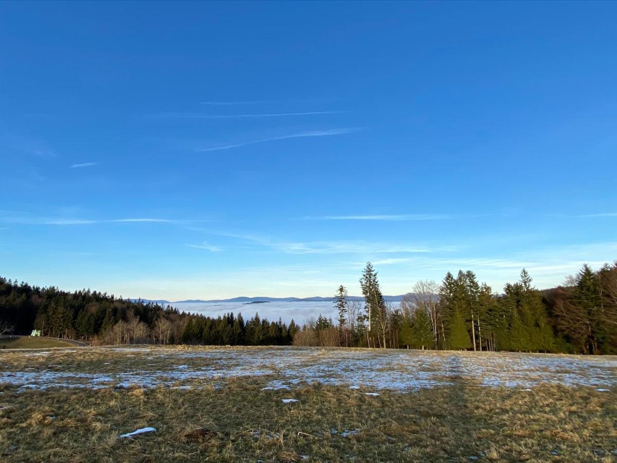 Mitten Im Bayerischen Wald-95M² Wohnung + *Netflix* Direkt Am Skilift! Schöfweg Εξωτερικό φωτογραφία