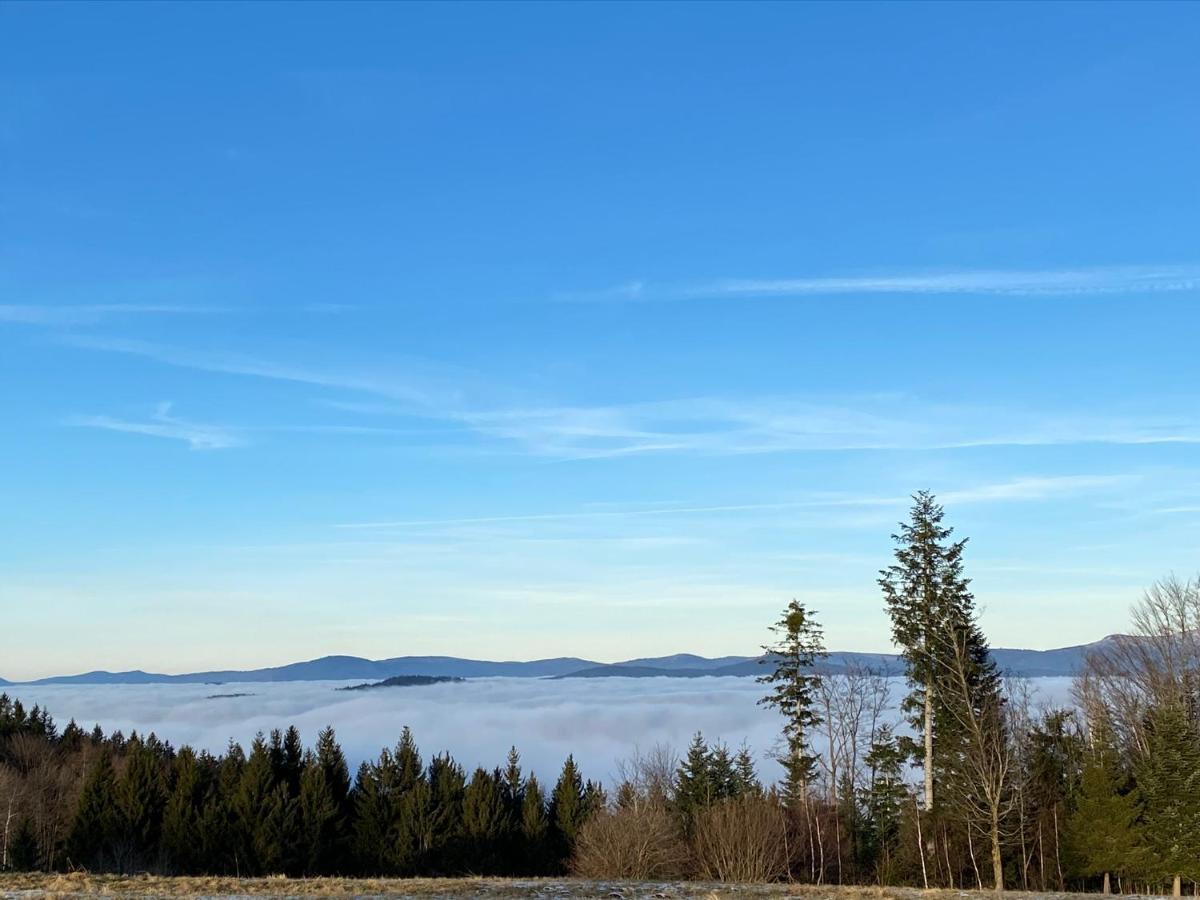 Mitten Im Bayerischen Wald-95M² Wohnung + *Netflix* Direkt Am Skilift! Schöfweg Εξωτερικό φωτογραφία